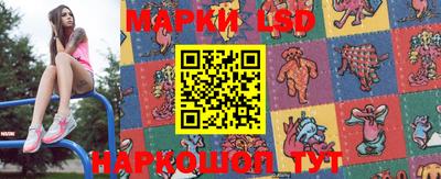 apvp Краснодар