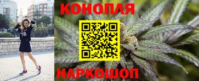 Альфа ПВП Краснознаменск