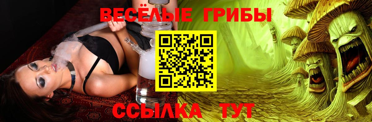 Псилоцибиновые грибы Psilocybe Клин